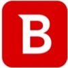 Software Logo